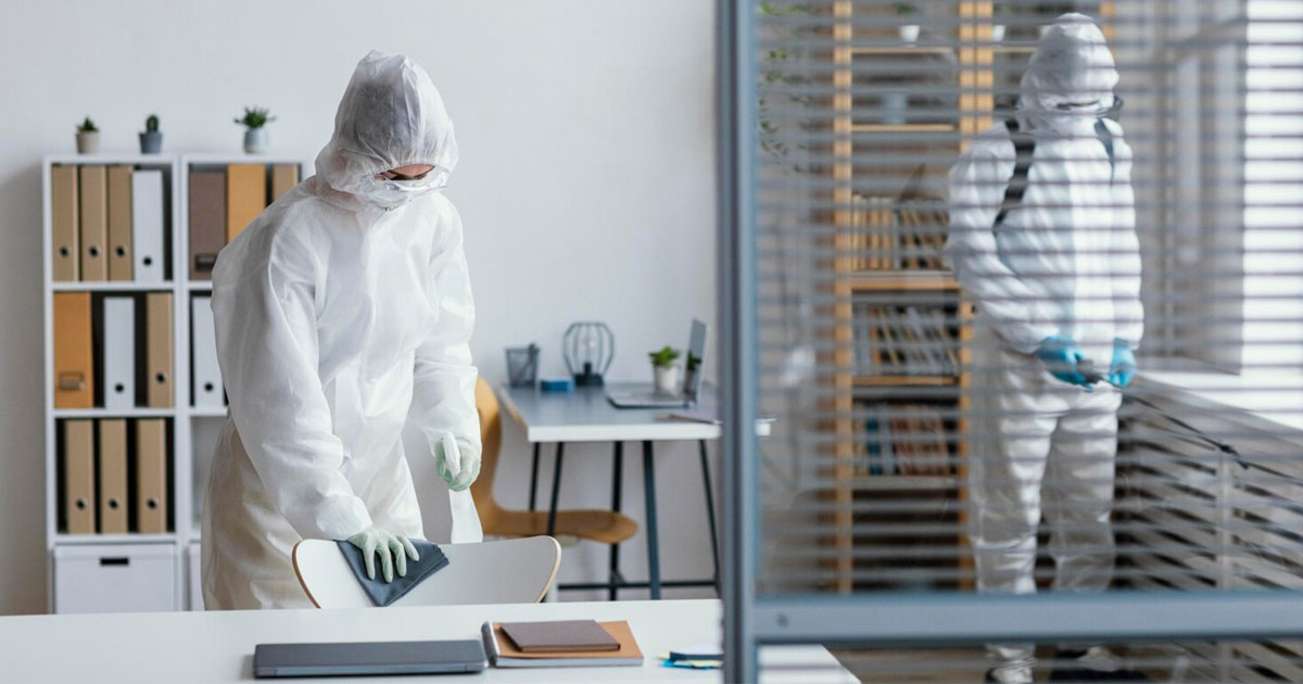 How to Safely Clean a Biohazard House Homemaking 101