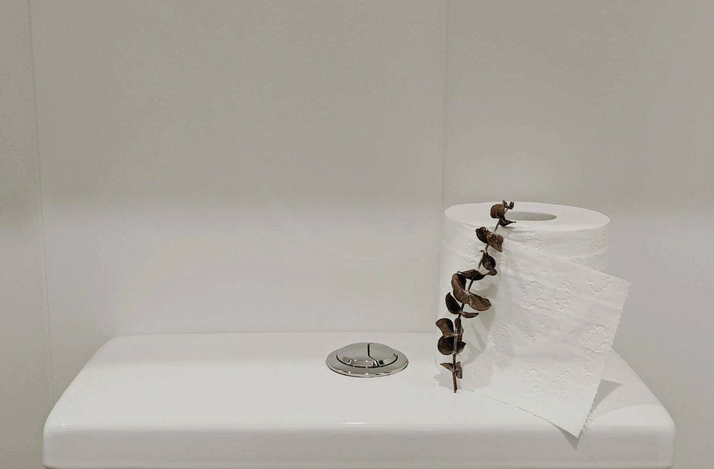 How to Use Dishwasher Tablets to Clean Your Toilet Homemaking 101 Daily