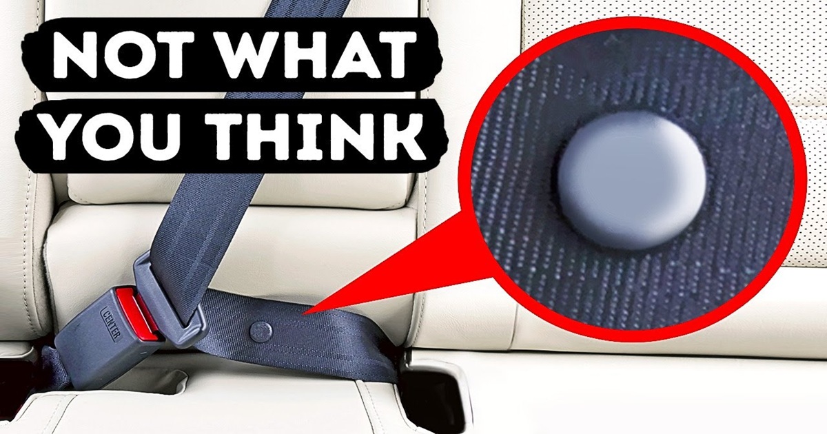 What the Little Button on Your Seat Belt Really Does - Homemaking.com