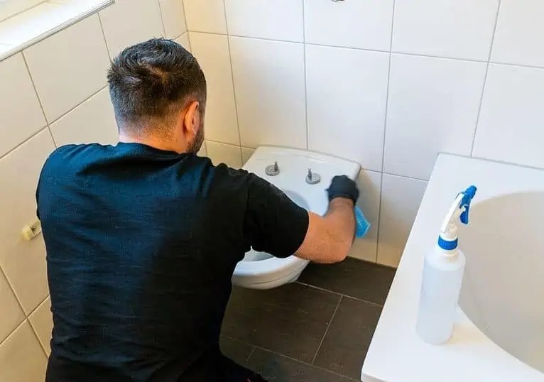 Can You Use Drano in a Toilet? (How Does It Work?)