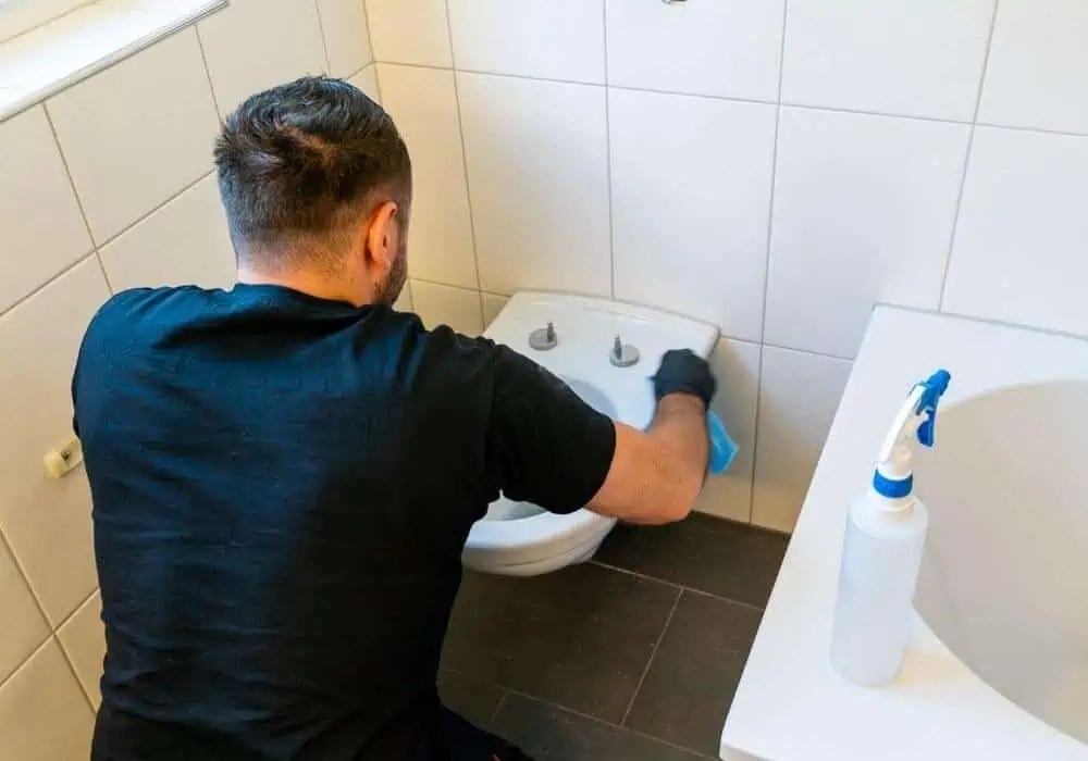 Can You Use Drano in a Toilet? (How Does It Work?)