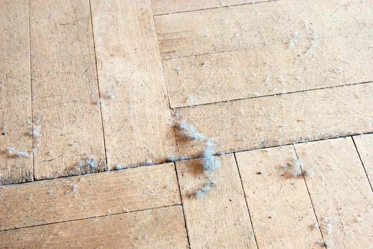 How to Clean Plaster Dust off Laminate Floors
