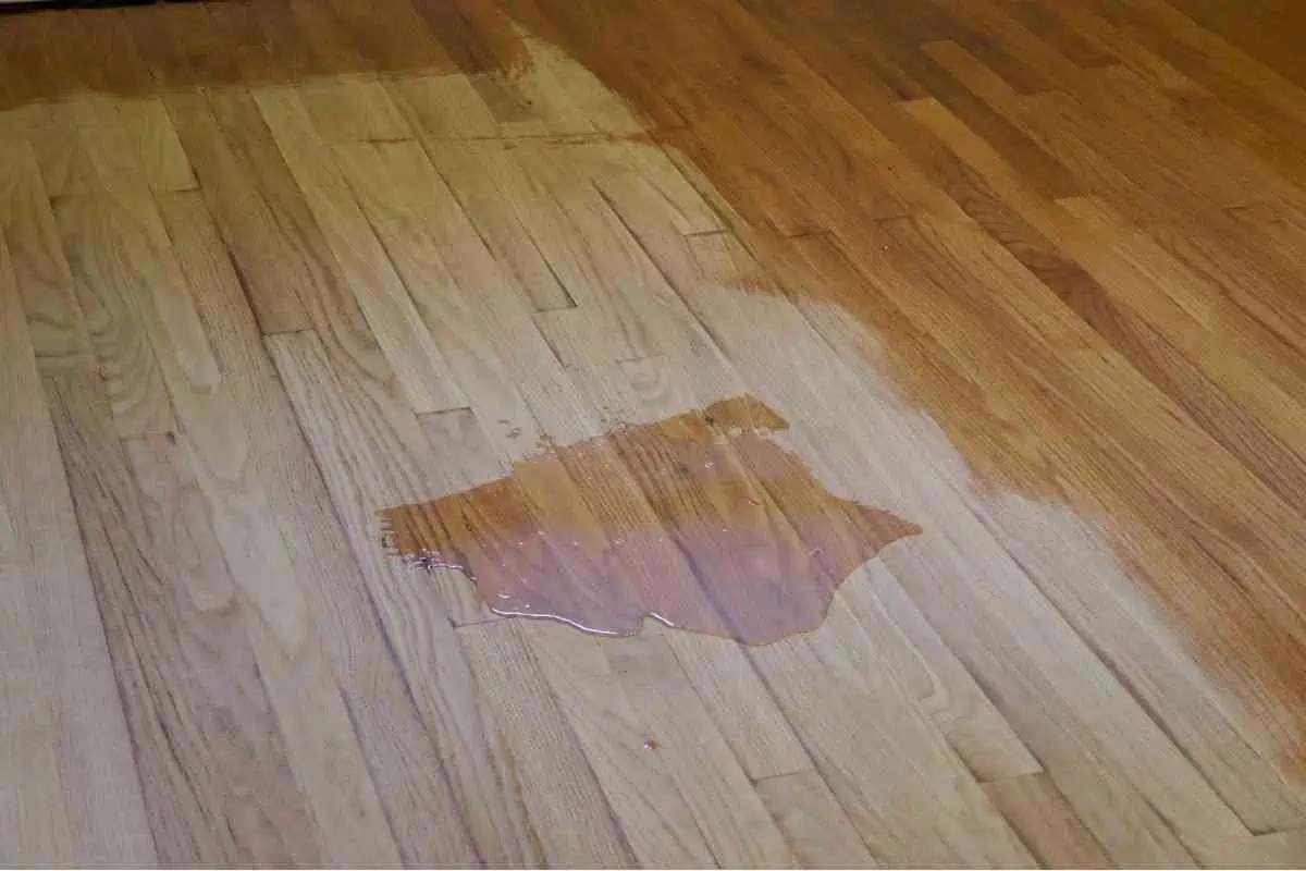 What To Expect When Refinishing Hardwood Floors