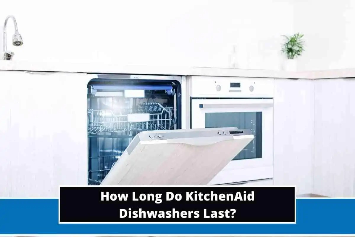 How Much Do Dishwashers Make In Tips at Jessie Angell blog