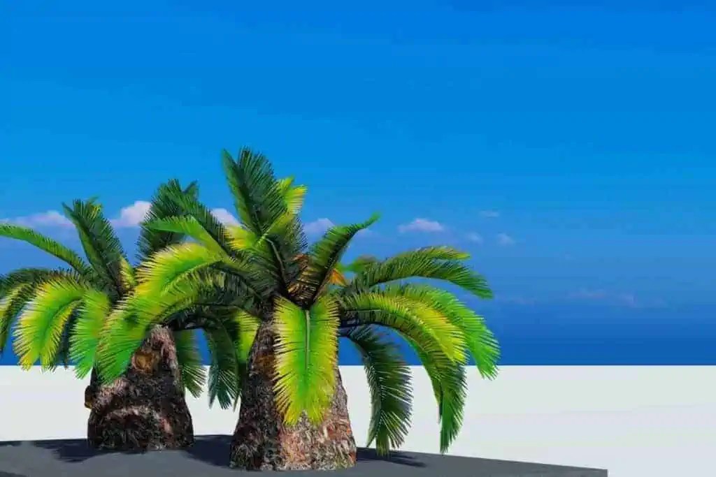 7 Best Small Palm Trees for Pool Areas