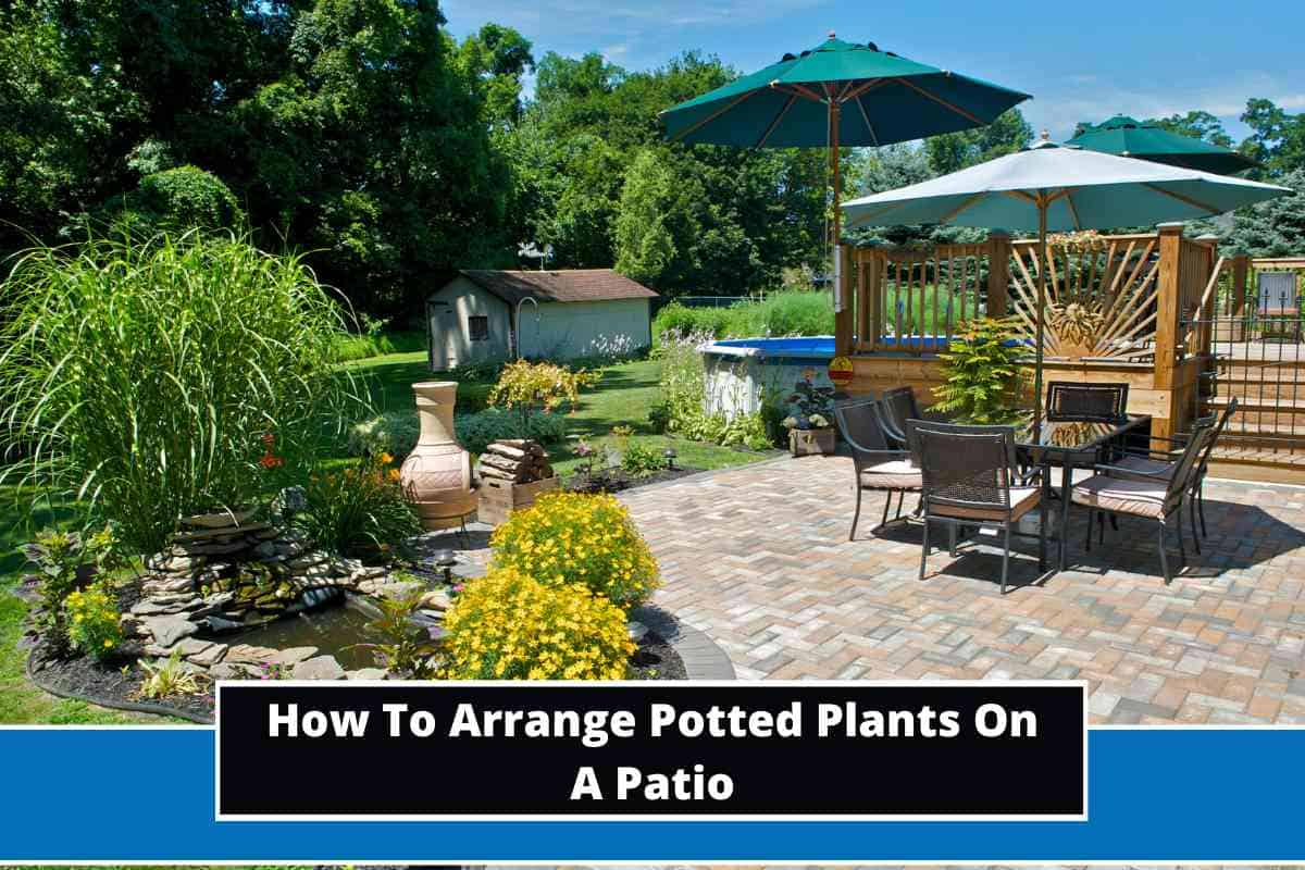 How To Arrange Potted Plants On A Patio (5 Key Steps)
