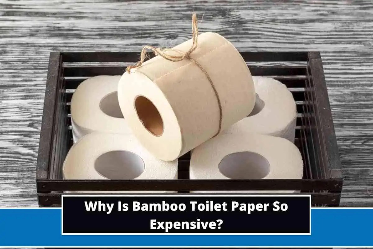 Why Is Bamboo Toilet Paper So Expensive? (8 Key Reasons)