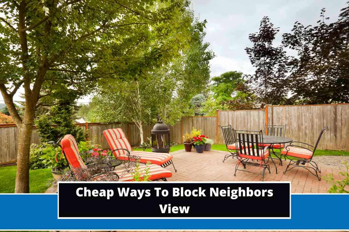 10 Cheap Ways To Block Neighbors View (With Photos)