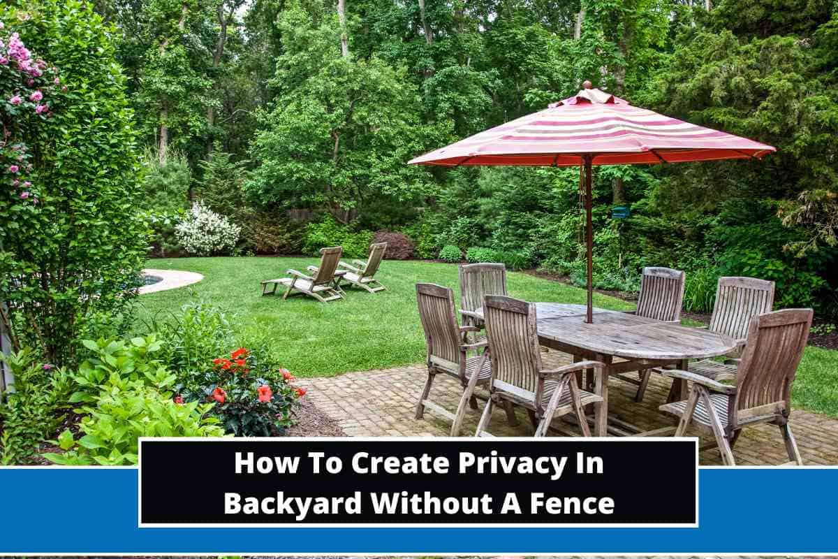 How To Create Privacy In Backyard Without A Fence (10 Ways)