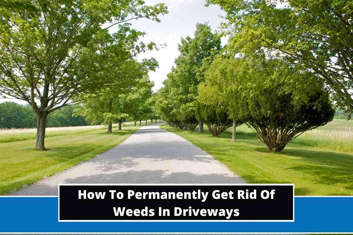 How To Permanently Get Rid Of Weeds In Driveways