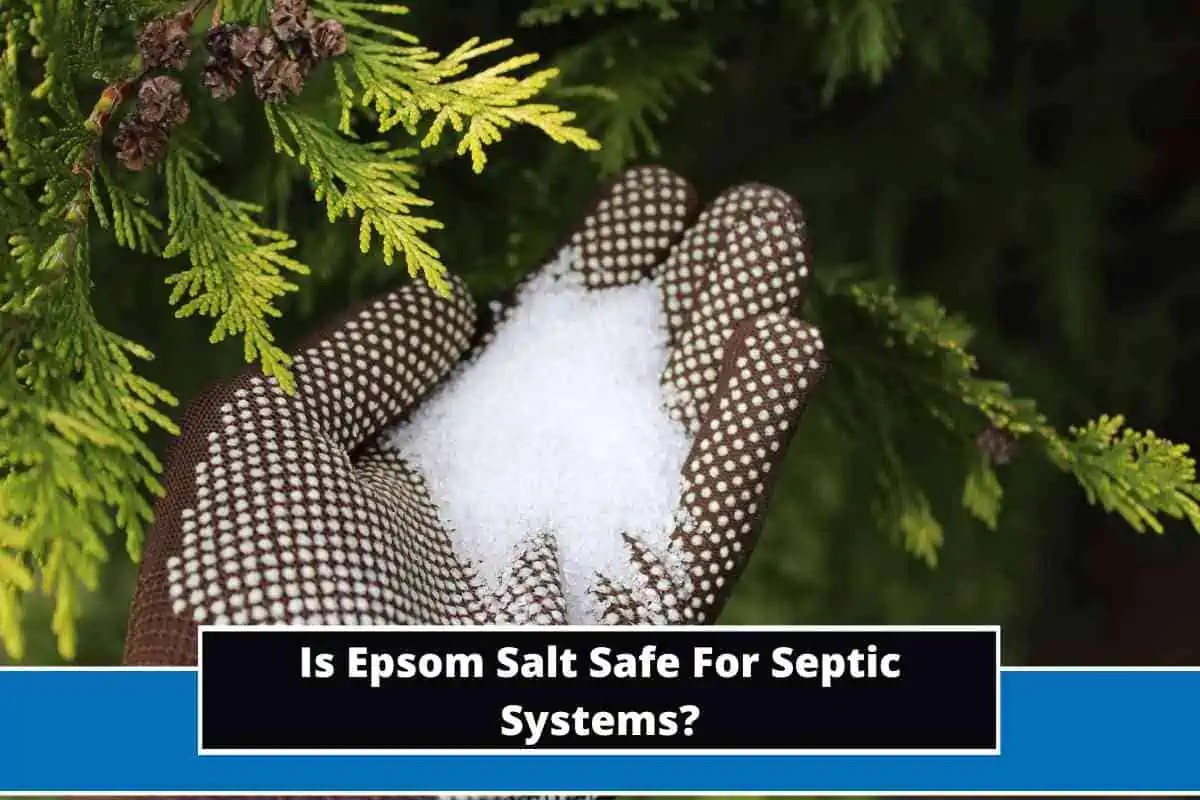 Is Epsom Salt Safe For Septic Systems? (Answered)
