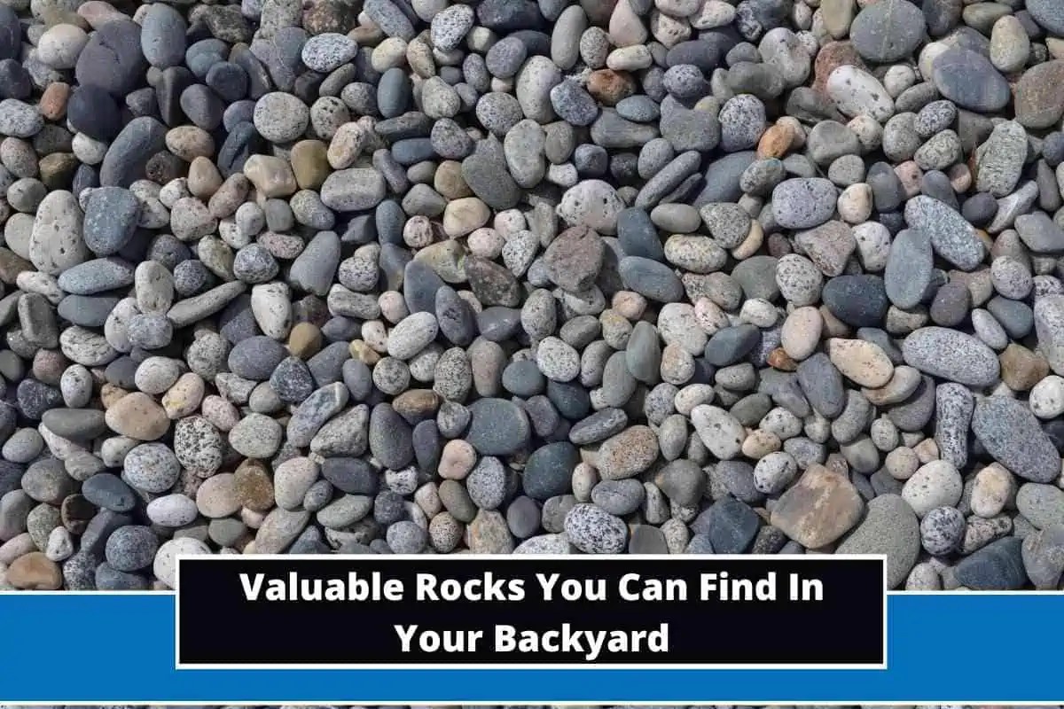 Top 6 Valuable Rocks You Can Find In Your Backyard
