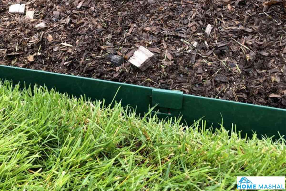 10 Best Lawn Edging Ideas To Keep Grass Out
