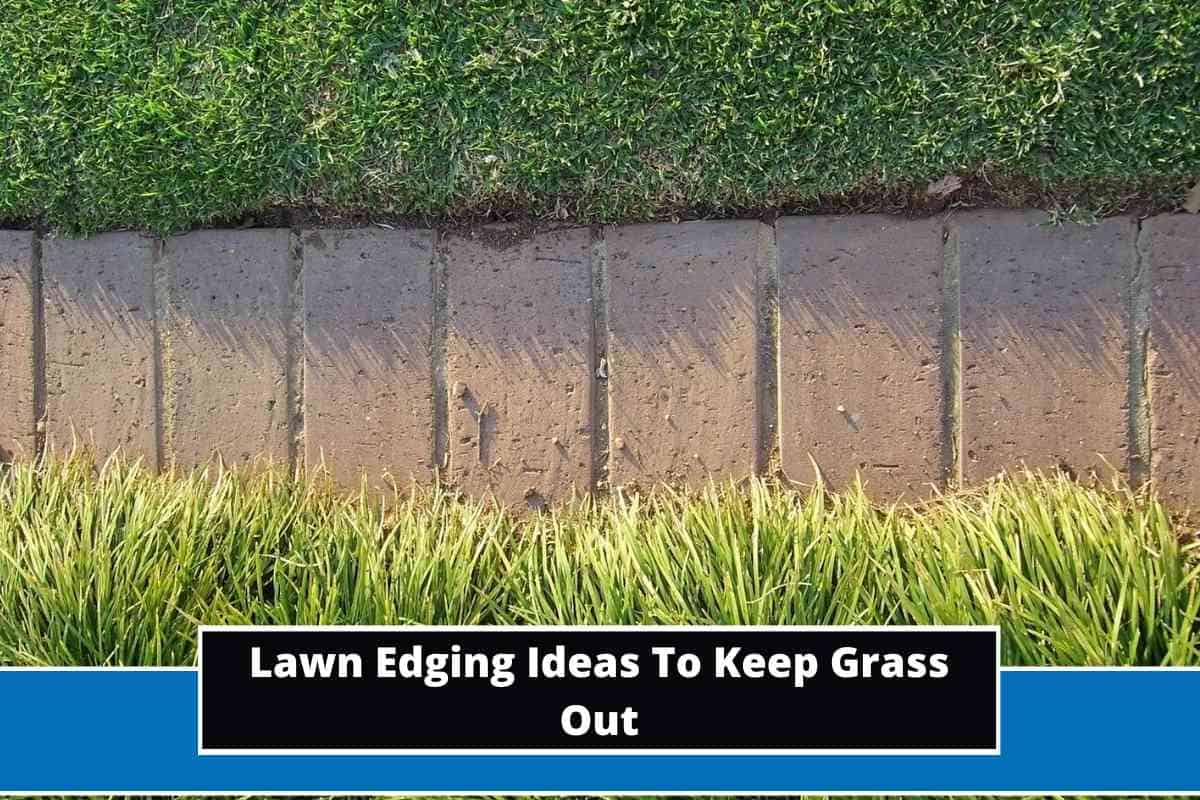 10 Best Lawn Edging Ideas To Keep Grass Out