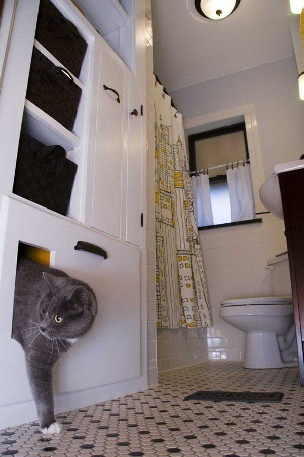 27 Awesome Cat Litter Box HomeMydesign