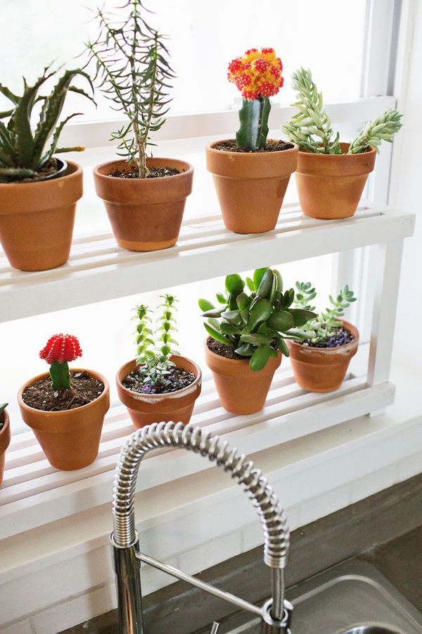 diywindowledgeplantshelf