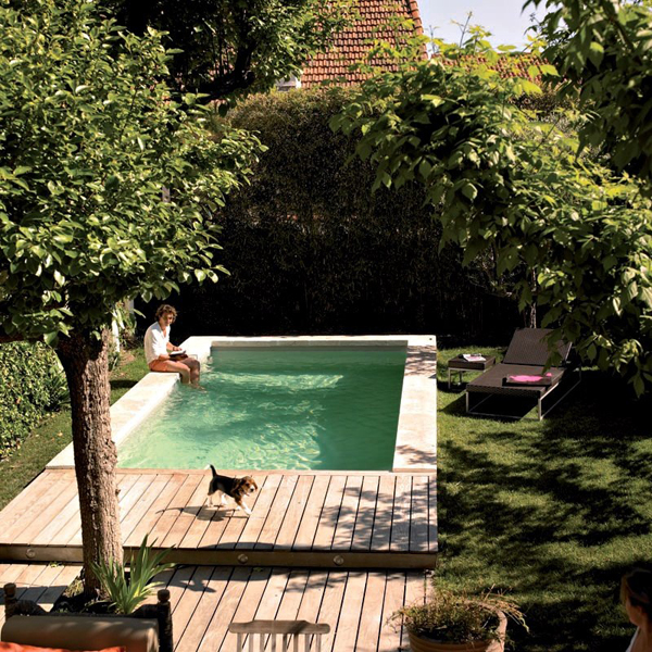18 Plunge Pools For Tiny Backyard HomeMydesign
