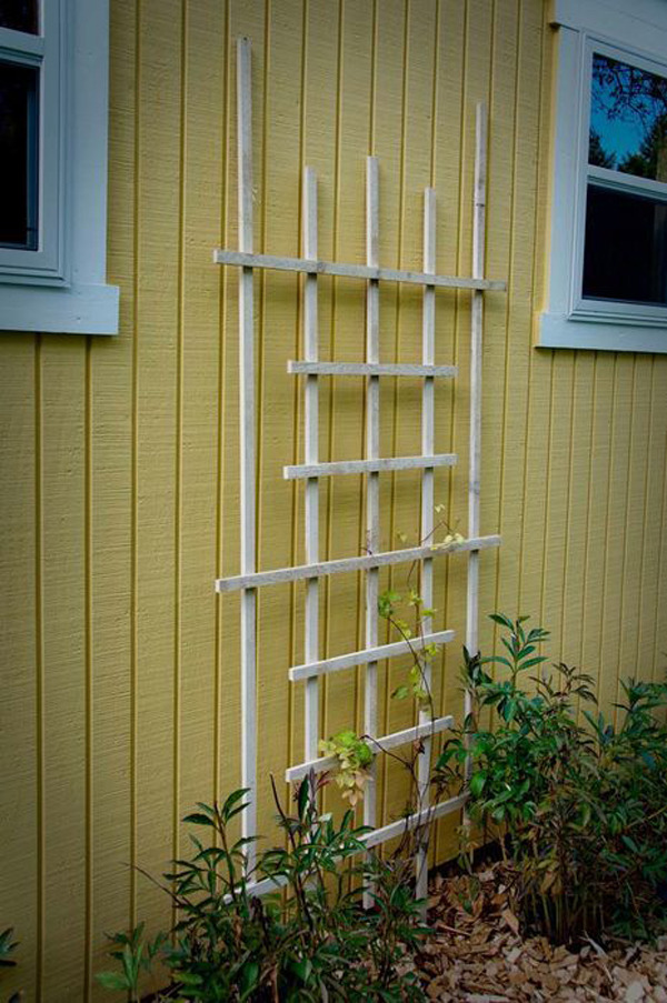 25 Beautiful DIY Trellis For Small Garden HomeMydesign