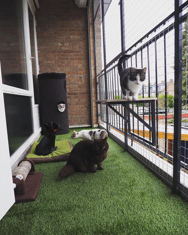 20 Safe And Cozy DIY Balcony Ideas For Cats OBSiGeN