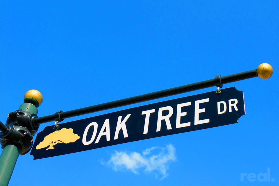 Oak Tree Centerton Neighborhood Northwest Arkansas HomeNWA