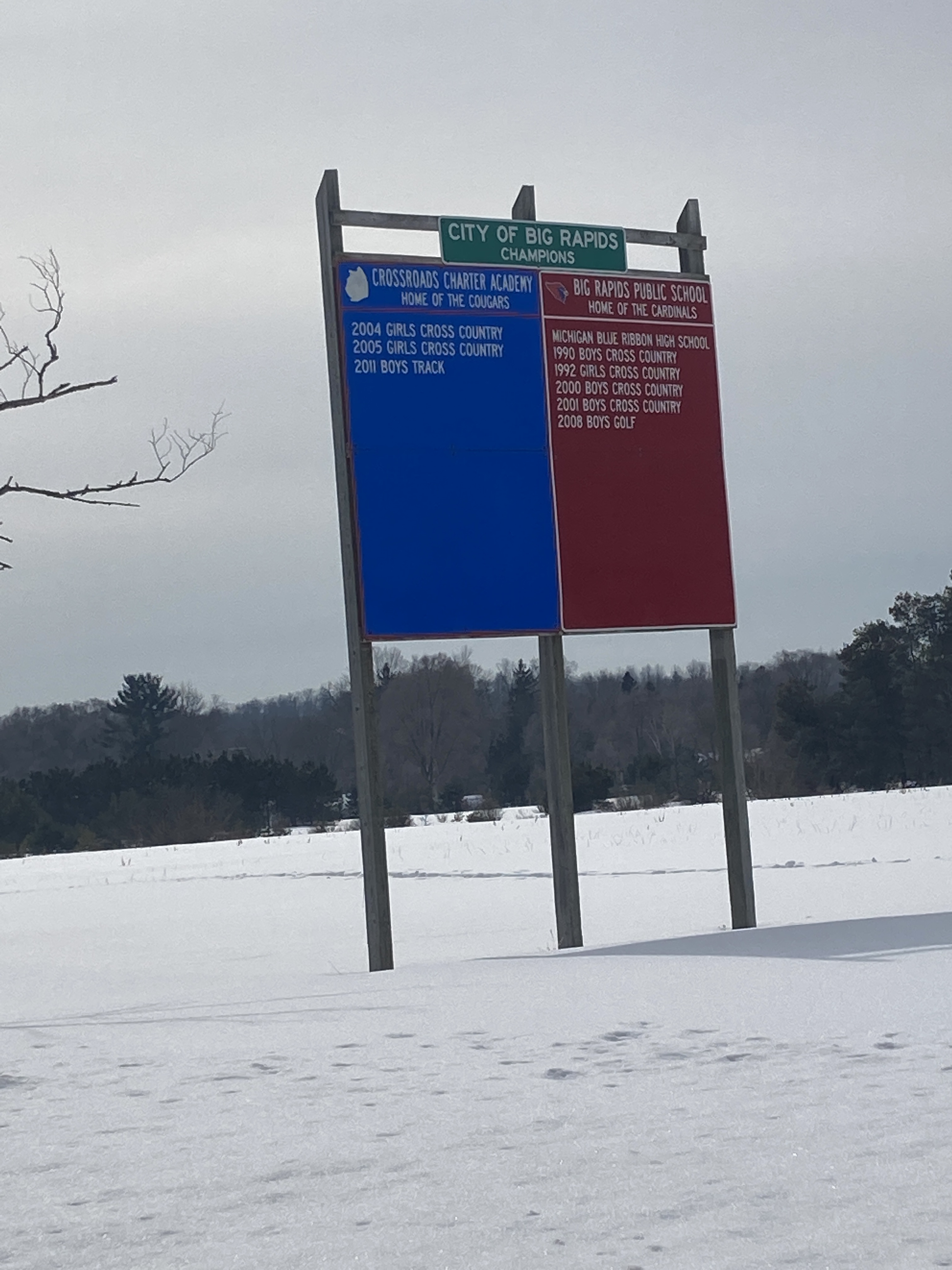 Big Rapids Michigan Home of the Home of Signs