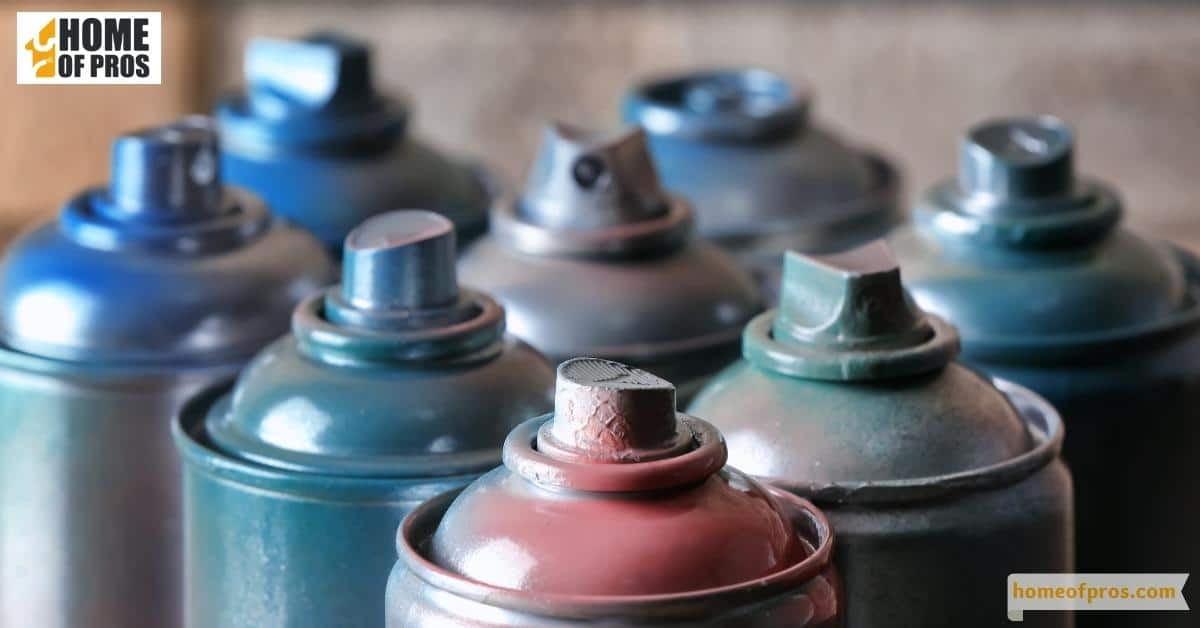 How to Dispose of Paint Home of Pros