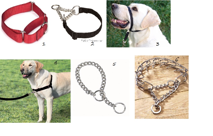 Do Gentle Leaders Hurt Dogs