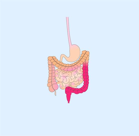 How to Identify Ulcerative Colitis and Find a Suitable Remedy