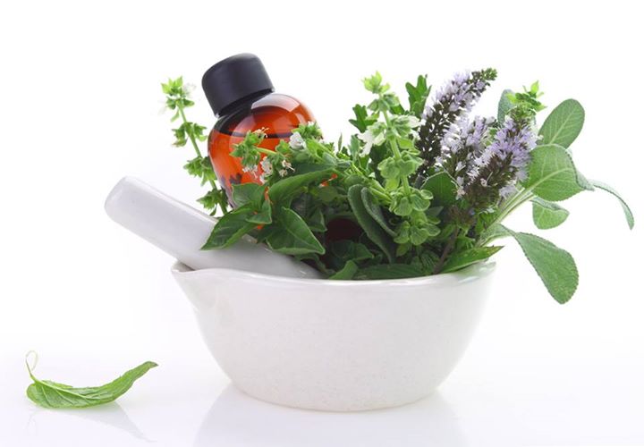 Homeopathy Vs. Naturopathy Homeopathy Plus