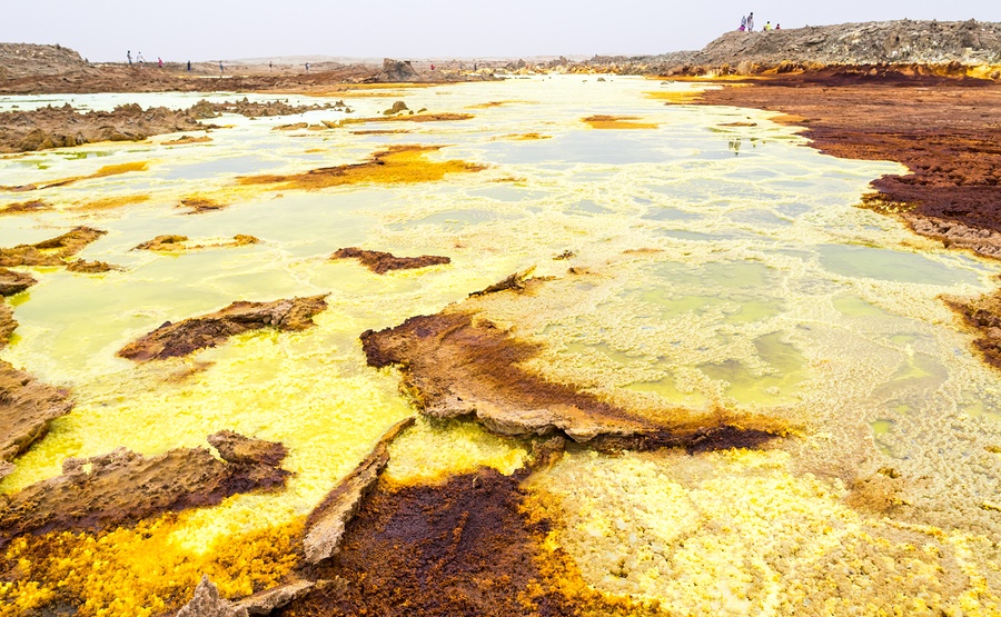 Know Your Remedies Sulphur (Sulph.) Homeopathy Plus