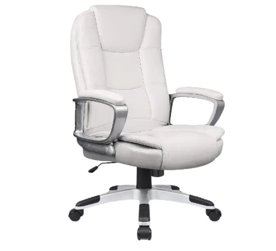 10 Best Office Chairs for Degenerative Disc Disease in 2024 Homeoure