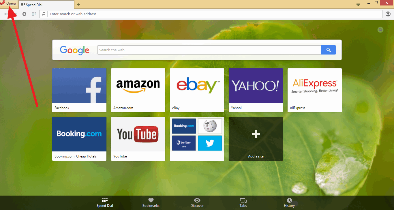 Homepage Ninja How To Use a Custom Homepage with the Opera Web Browser