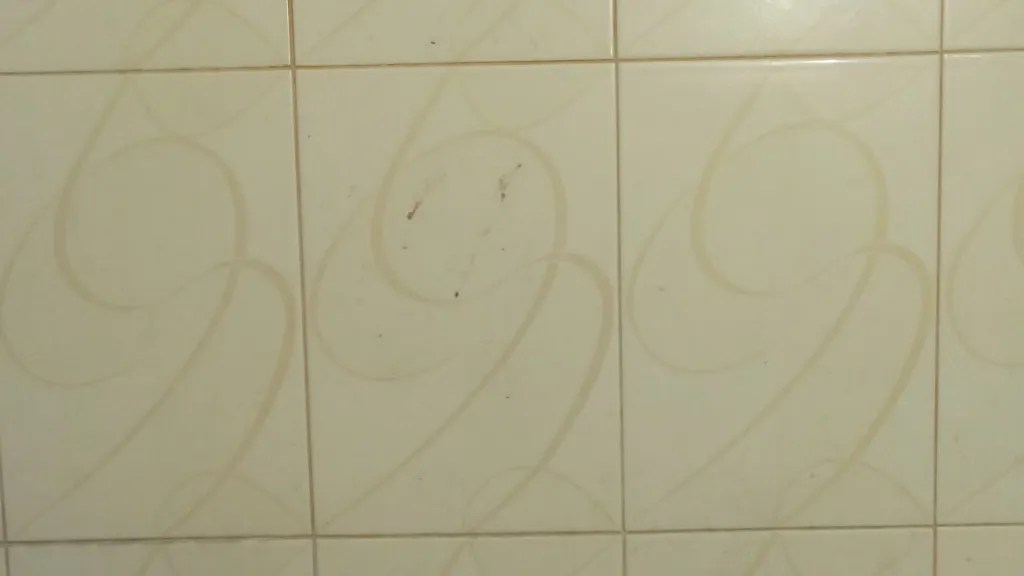 How To Clean Unsealed Grout (Learn Zero Cost Method)