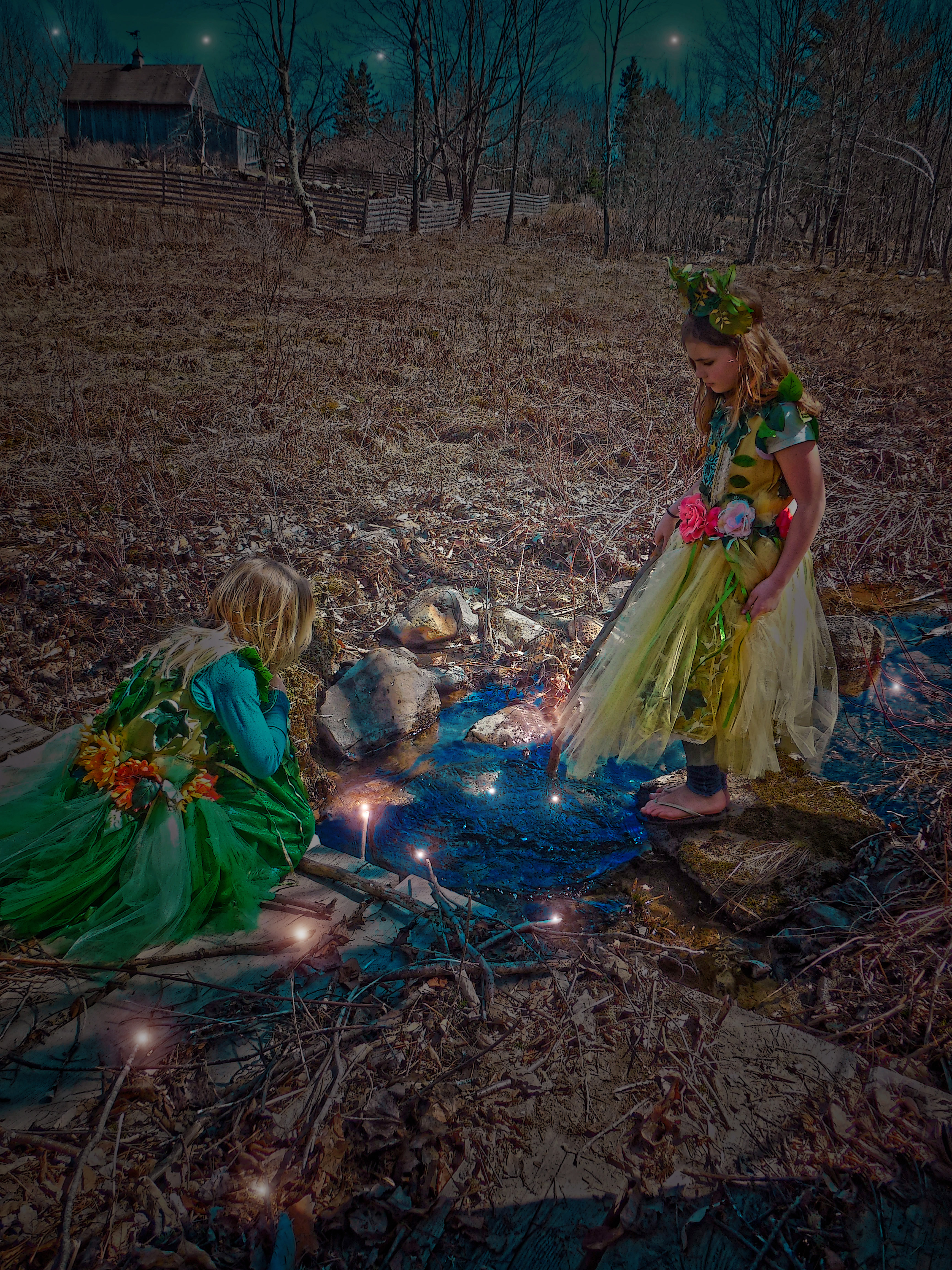 Home Place Fairies