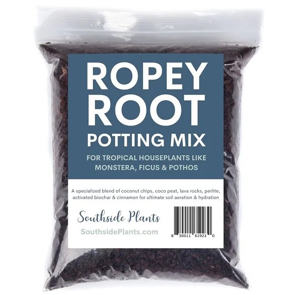 8 Best Potting Soil Mixes for Pothos Indoors