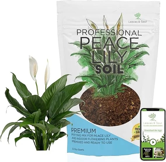 9 Best Potting Mixes for Peace Lily Grown Indoors