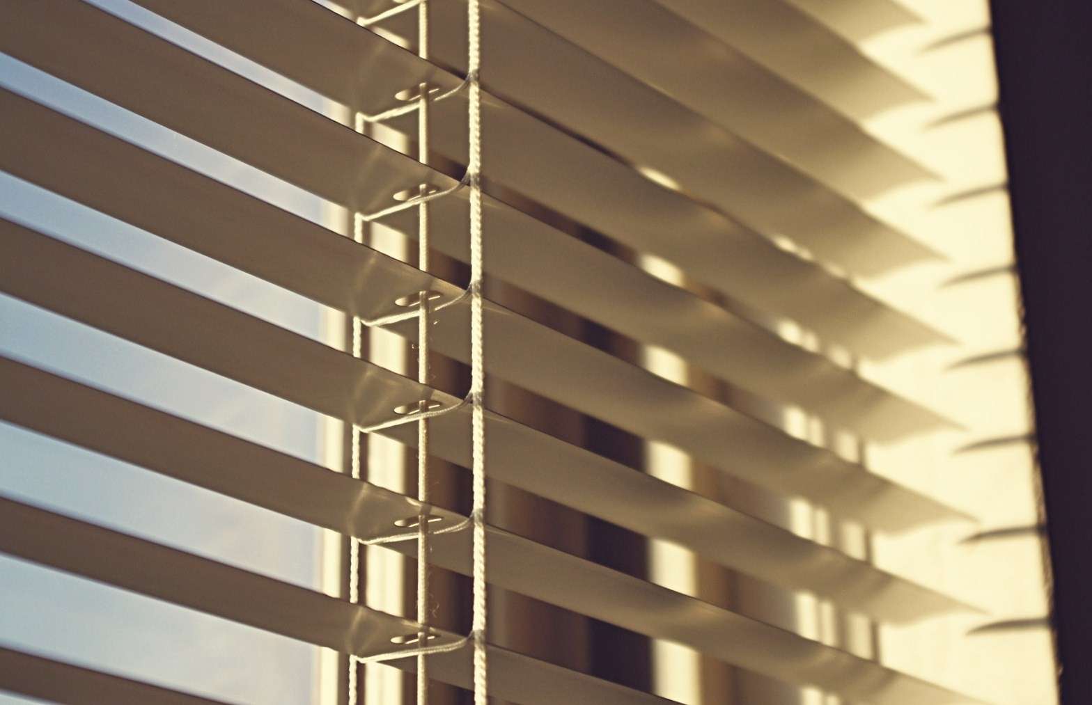 Ernest Shackleton Forno Marina Militare louvre blinds montague gardens