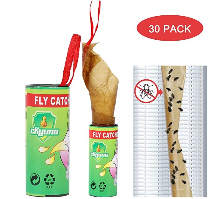 fly catch strips