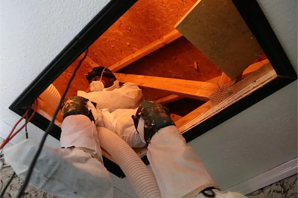 DIY Insulation to Lower Your Heating and Cooling Costs – Home Project DIY