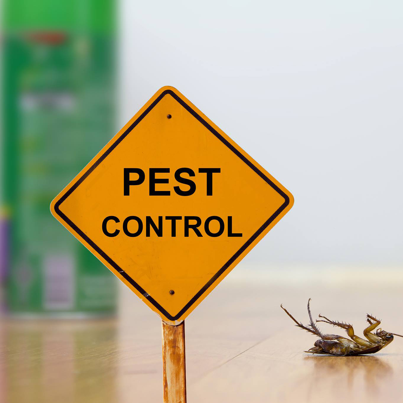 Home Protection Pest Control Residential and Commercial Pest Control