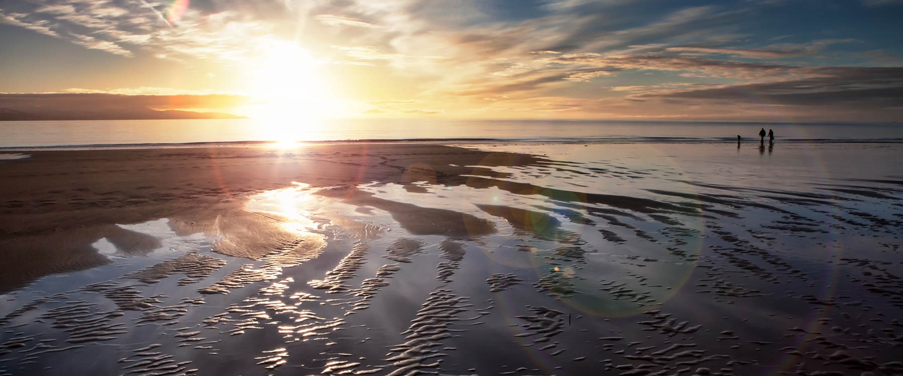 Homer Alaska Lodging from the Homer Bed & Breakfast Association