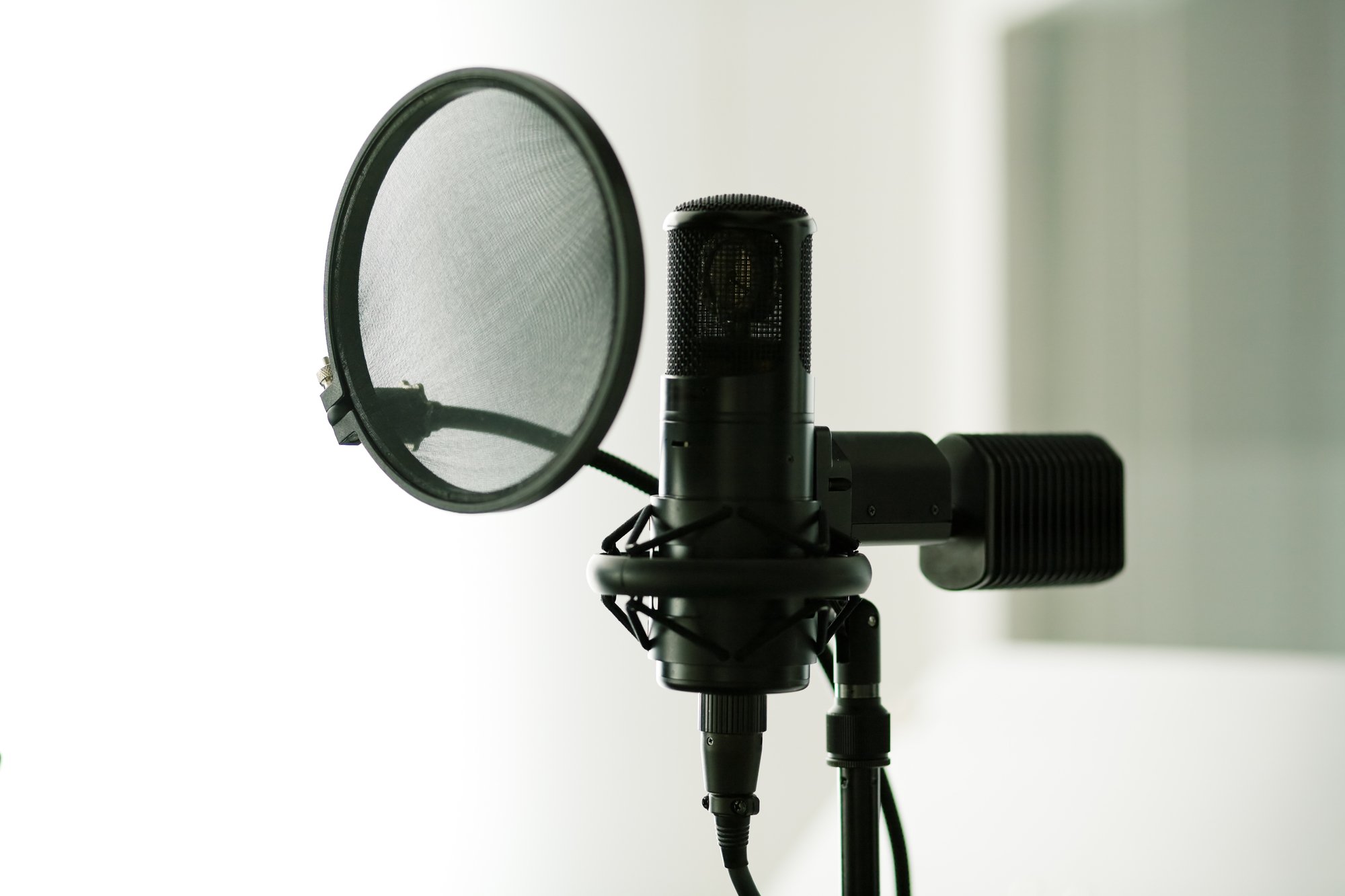 Whats the Best Condenser Mic Under 200? Home Recording Lab