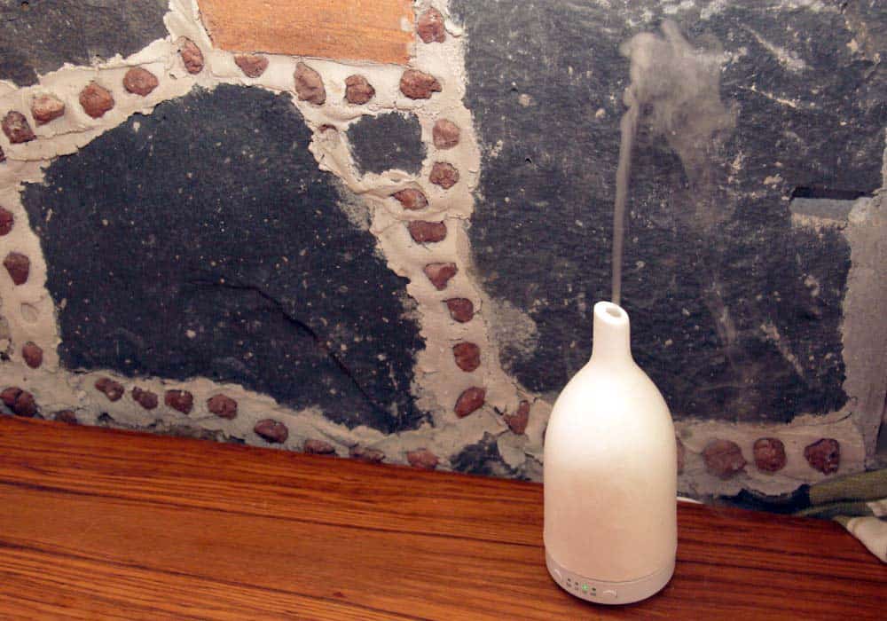 How to Get Rid of Crickets in the Basement Home Repair Geek