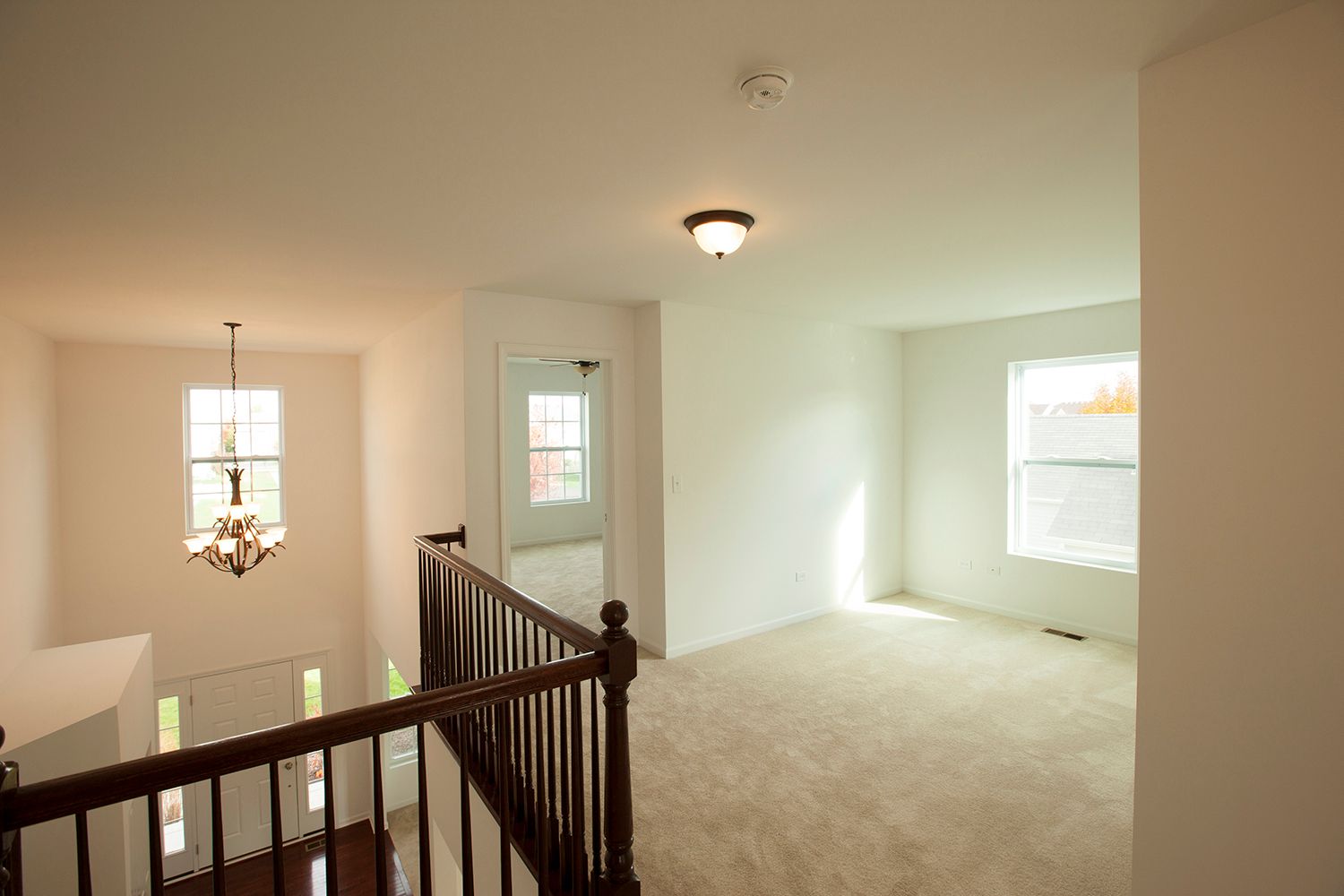 Camden Our Single Family Homes