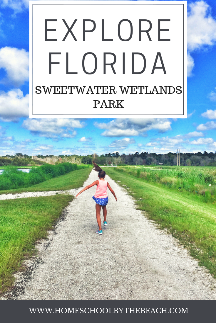 Exploring Florida Sweetwater Wetlands Park Homeschool By The Beach