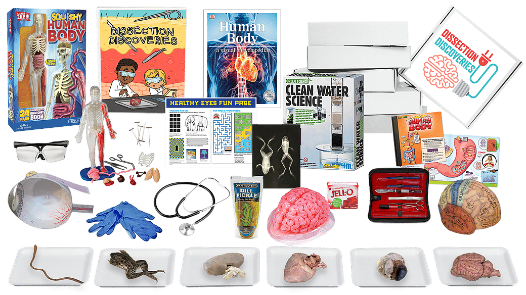 Dissection 6 Month Subscription Boxes Homeschool Curriculum Fair