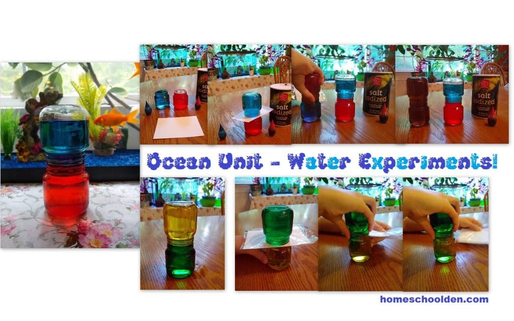 Ocean Unit Science Experiments on Salinity and Water Temperature