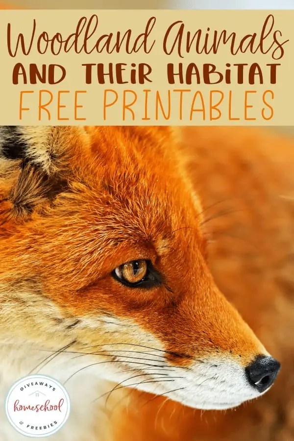 Woodland Animals and Their Habitat FREE Printables