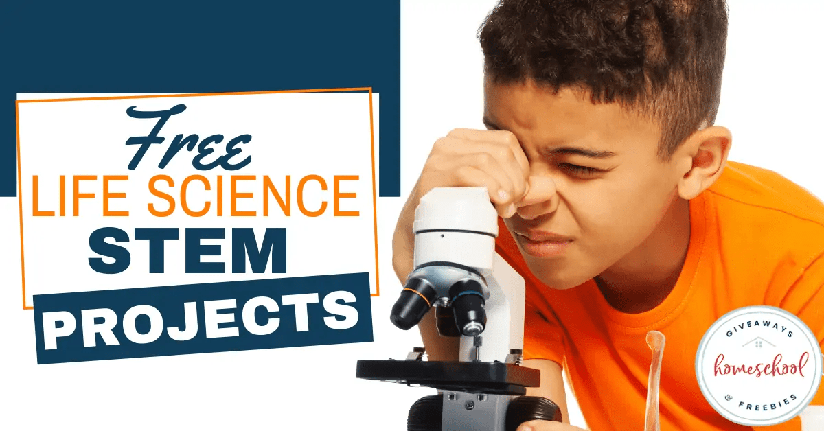FREE Life Science STEM Projects