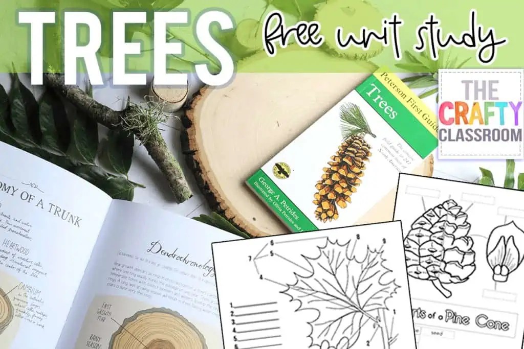 Free Botany Worksheets and Plant Printables for Kids Free Botany Worksheets and Plant Printables for Kids